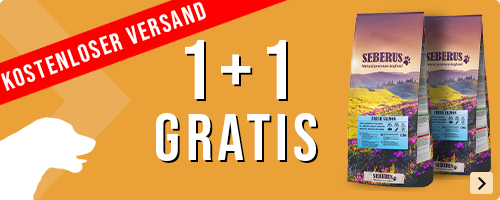 Testen Sie jetzt das günstige getreidefreie Hundefutter von Seberus